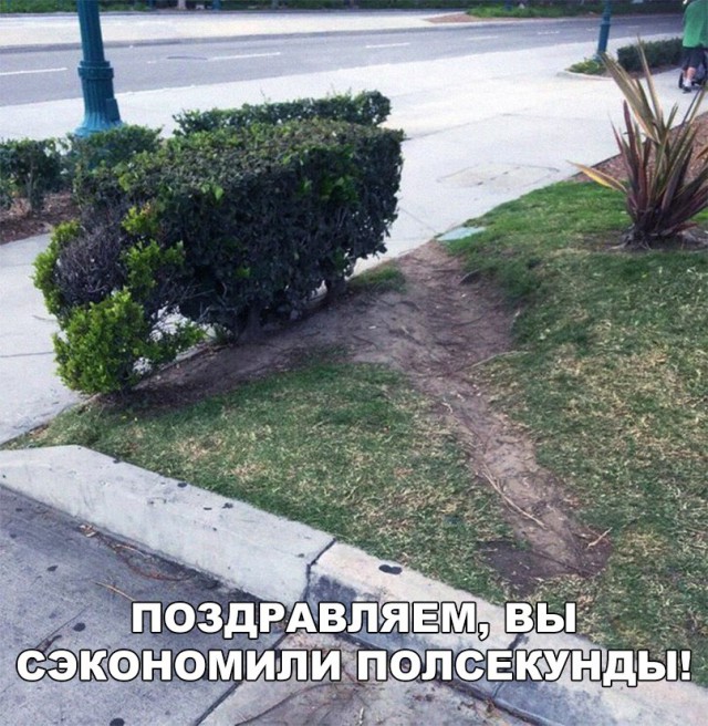 Приколы в картинках или прикольные картинки?
