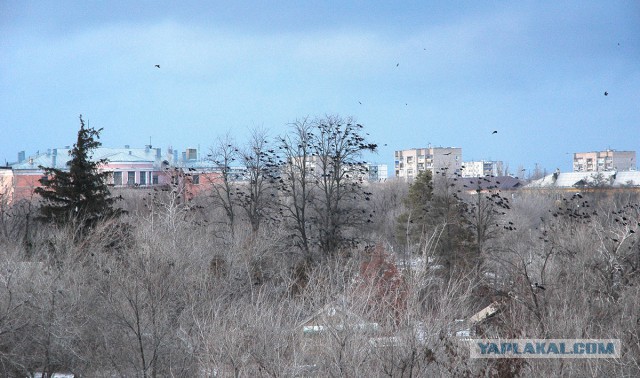Деревенская Америка - 4