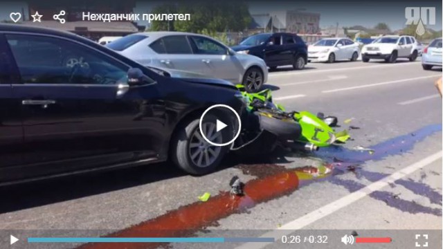 Нежданчик прилетел