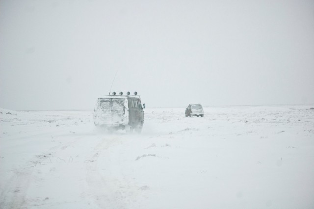Командировка. В степь. Животные и люди