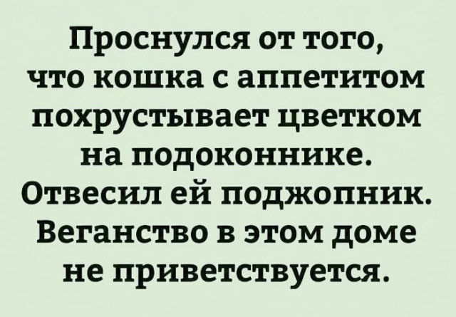 Деградация воскресным вечером, разной степени боянистости))