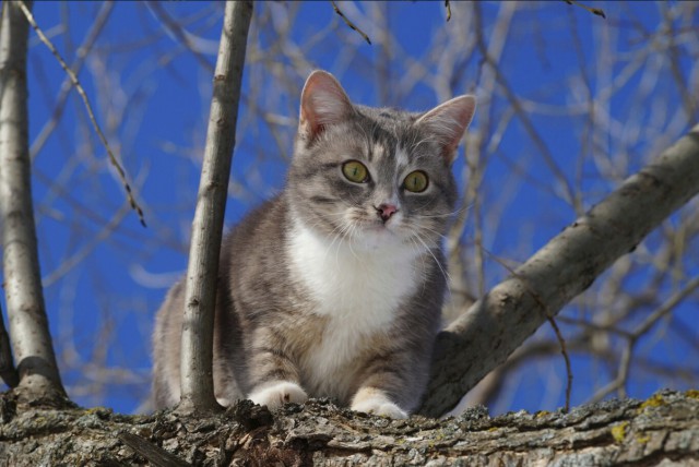 Немного милоты