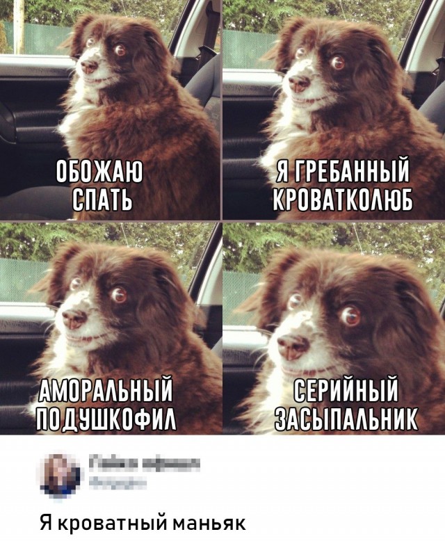 Немного веселых картинок из этих наших интернетов