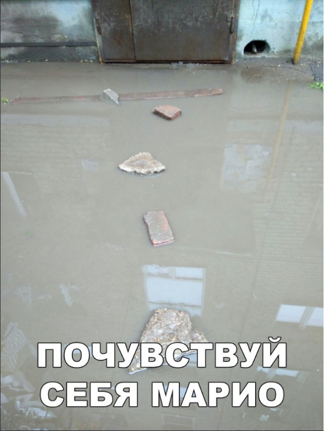 Нестандартный юмор