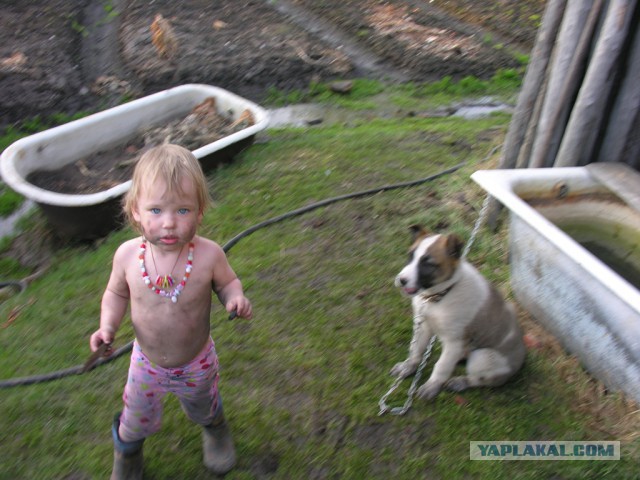 Каникулы в деревне