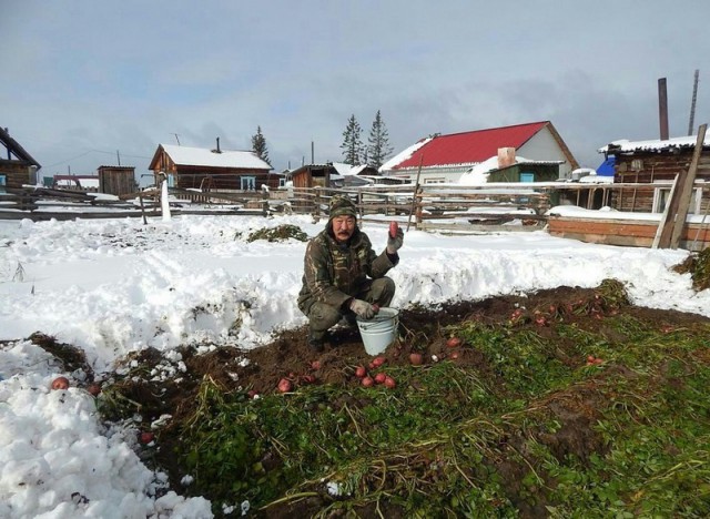 И всё-таки она наша. Лента картинок