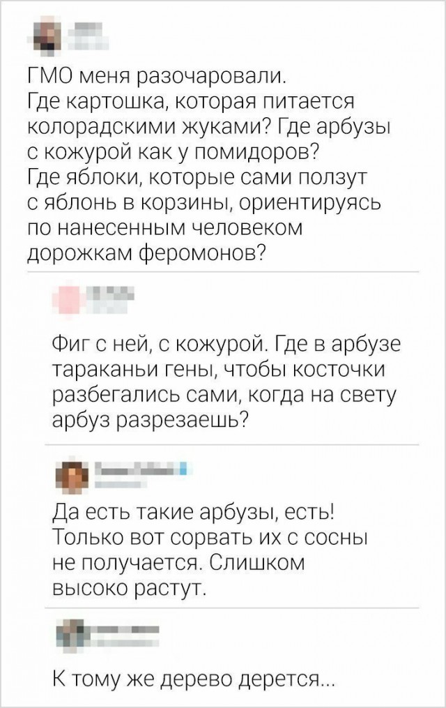 Прикольные комментарии и высказывания из Сети