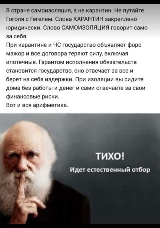 Обращение Владимира Путина к гражданам России. Прямая трансляция