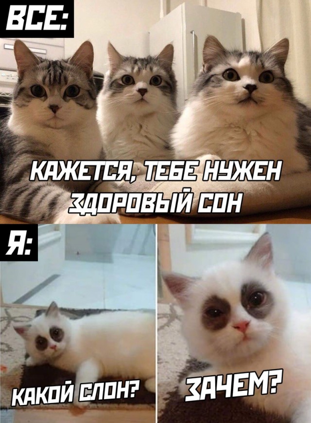 Чуток картинок 21.05.20