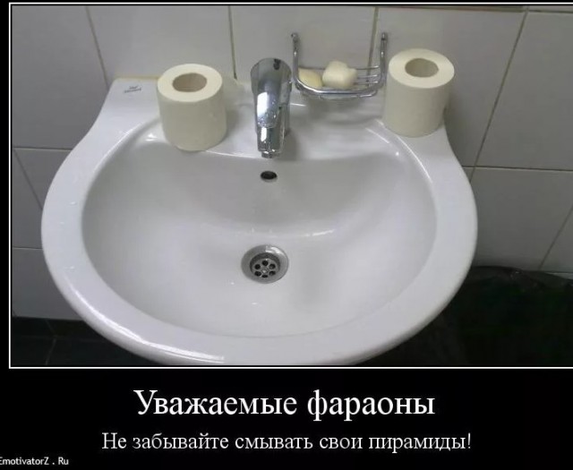 Интересно, что у них в голове?
