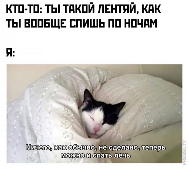 Немного картинок для настроения 01.10.20