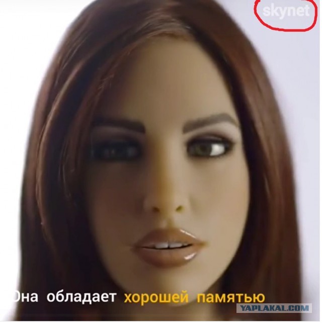 До чего дошёл прогресс