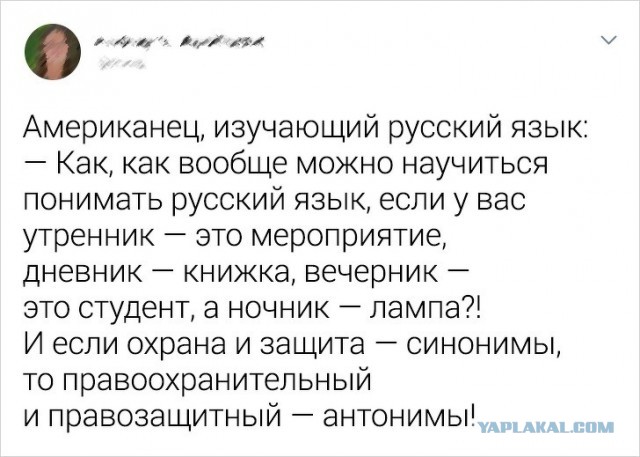 Свинегрет: картинки, надписи и прочее на 08.01.21 или №29