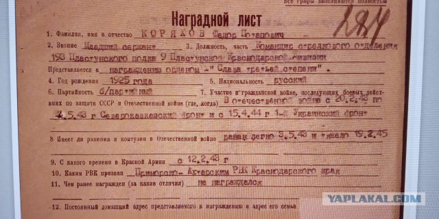 9-я пластунская Краснодарская Краснознаменная горнострелковая дивизия. Как казаки воевали с гитлеровцами.