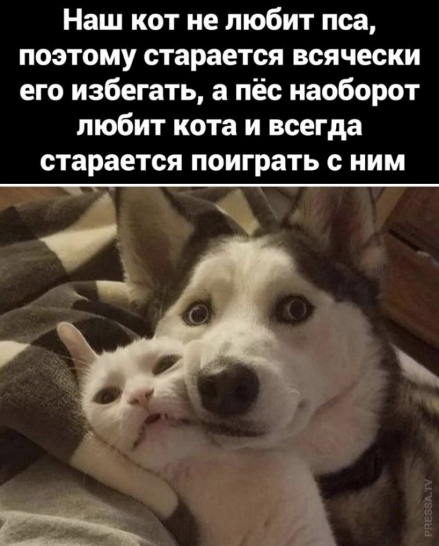 Картинки и мемы для настроения