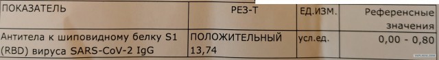 Вирусолог рассказал, надо ли вакцинироваться переболевшим "ковидом"