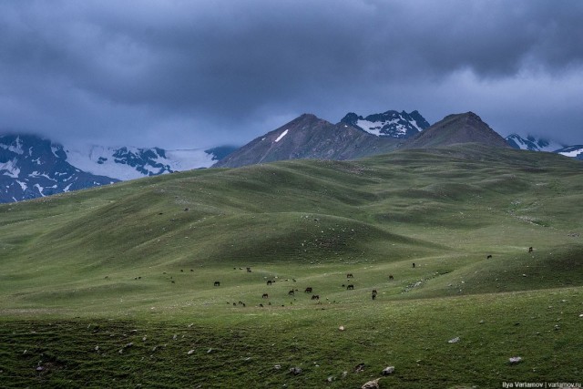 Прекрасный Кыргызстан