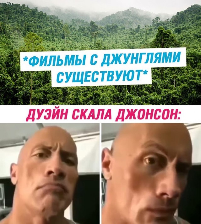 Картинки и мемы для настроения 05.10.2021