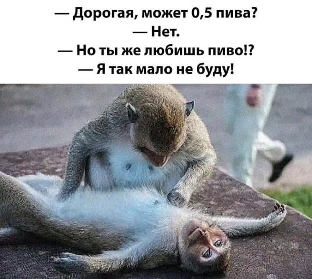 Всяческие картинки 02.11.2021