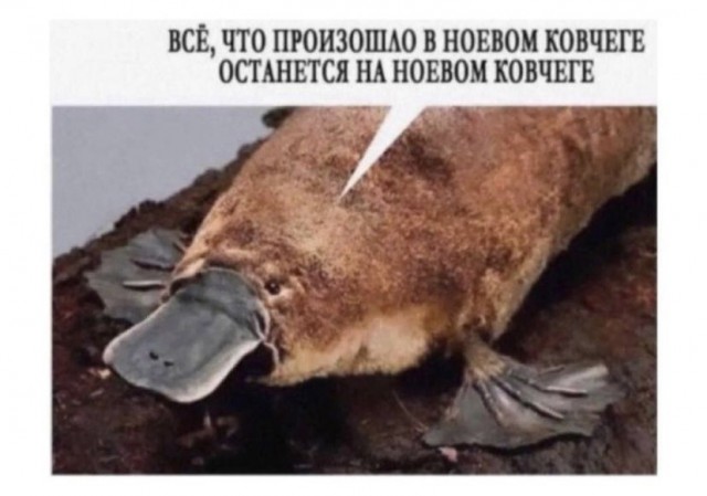 Один шаг и она начнется