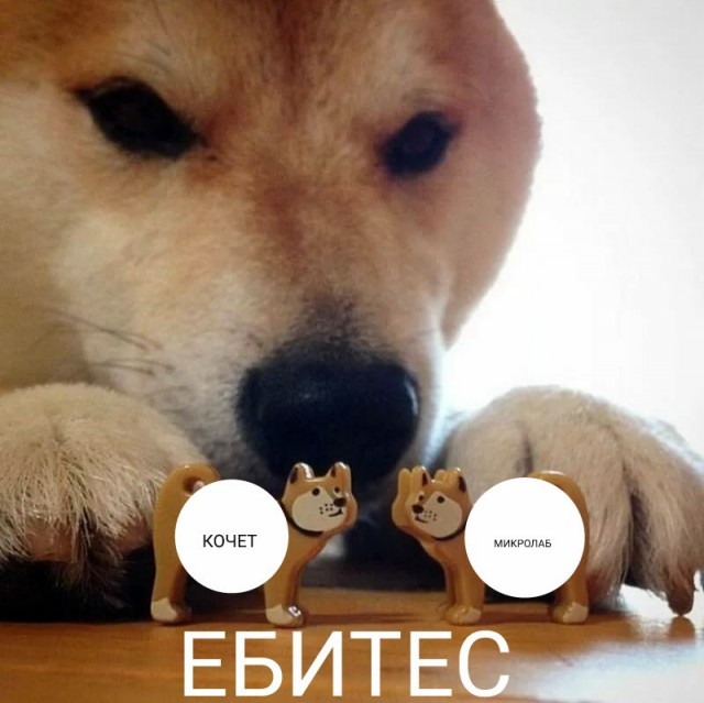 "Я не такая, я за серьезные отношения"
