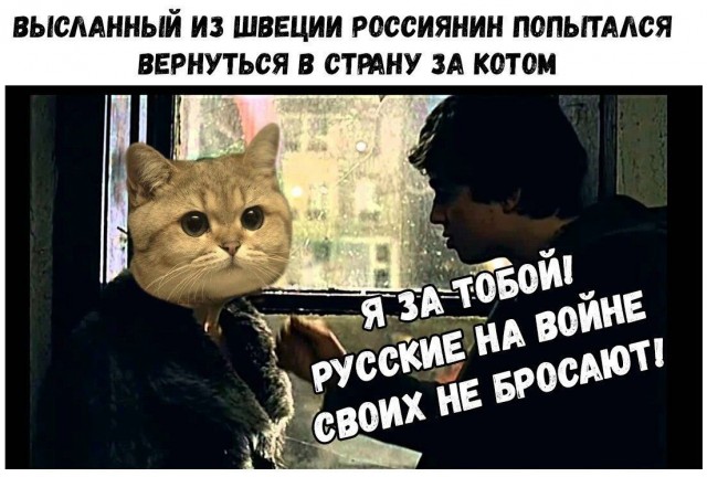 Так себе картинки 05.03.22