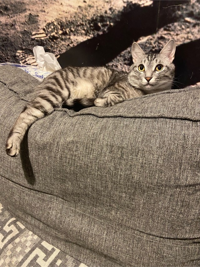 Ну, поехали в котоввторник!