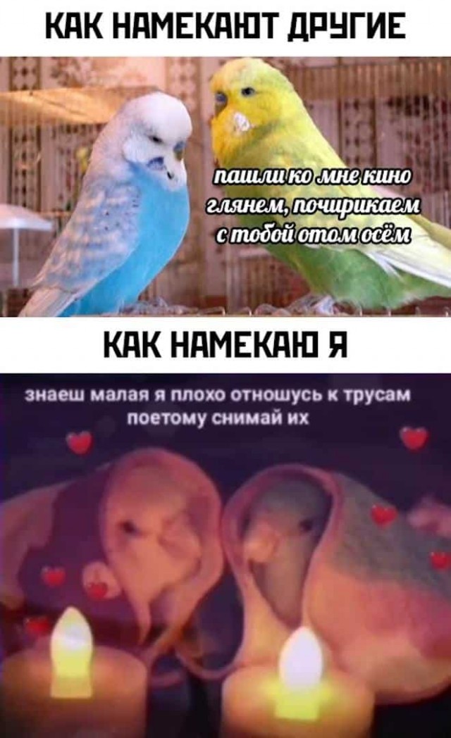 Картинки и мемы, всем хороших выходных