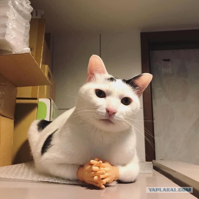 Уехал, а теперь ноет