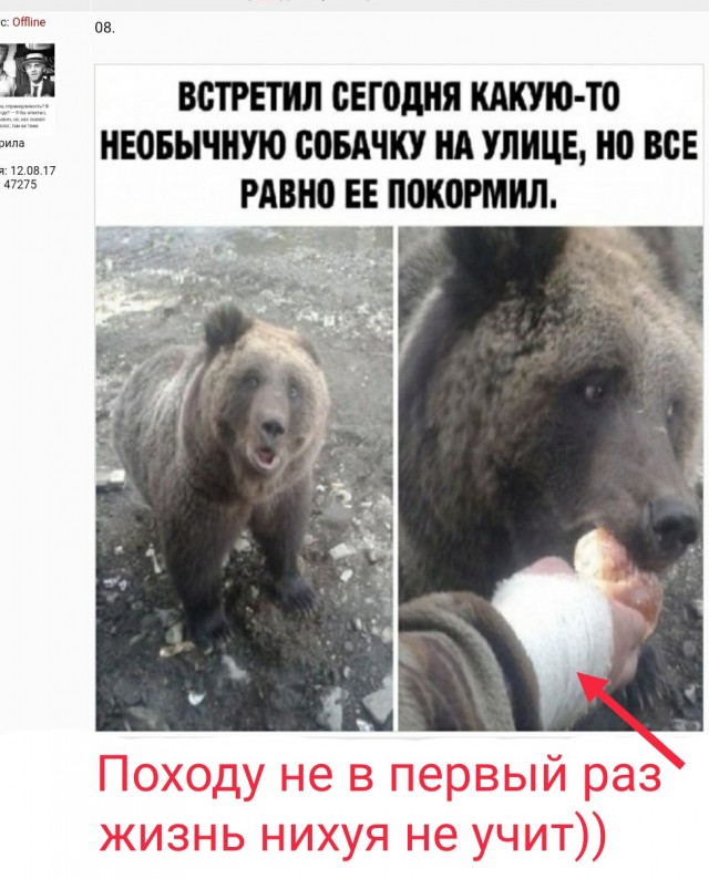 Картинки и мемы, начало праздников