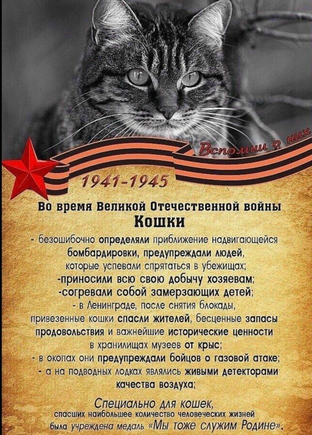 Про них мы тоже помним