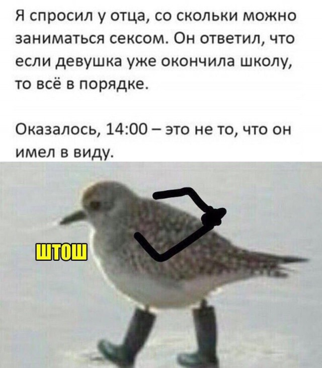 Пятница. И немного слегка пошлых картинок с надписями и без 16+ (27.05)