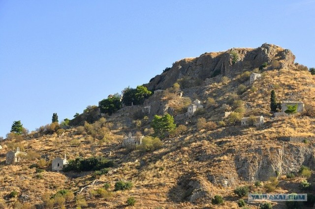 Любовь с первого взгляда