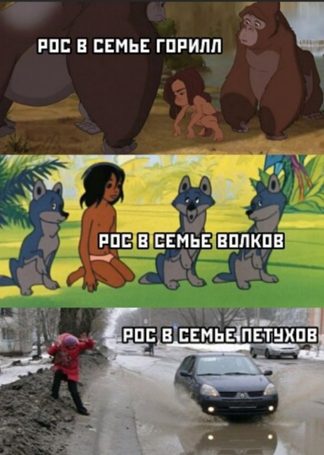 Скриншоты и комментарии из социальных сетей 24.09.22
