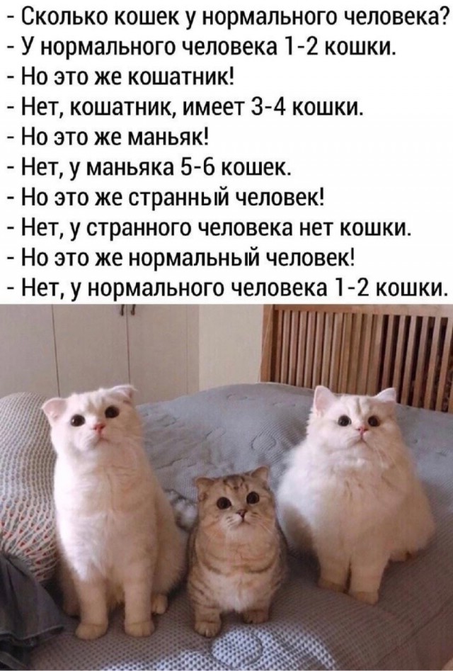 Юмор в картинках и без 19.10.2022