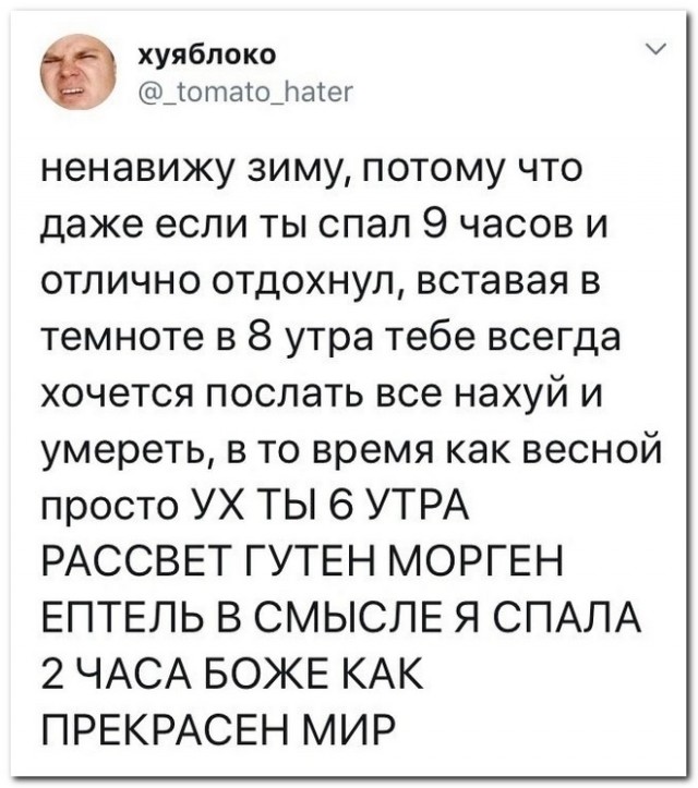 Забавные комментарии из социальных сетей (12.12.22)