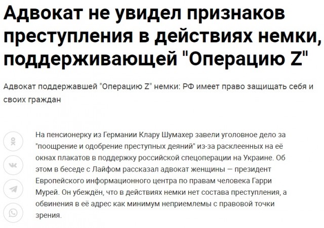 Россиянка выкрала из немецкого приюта отнятого сына и вернулась на родину.