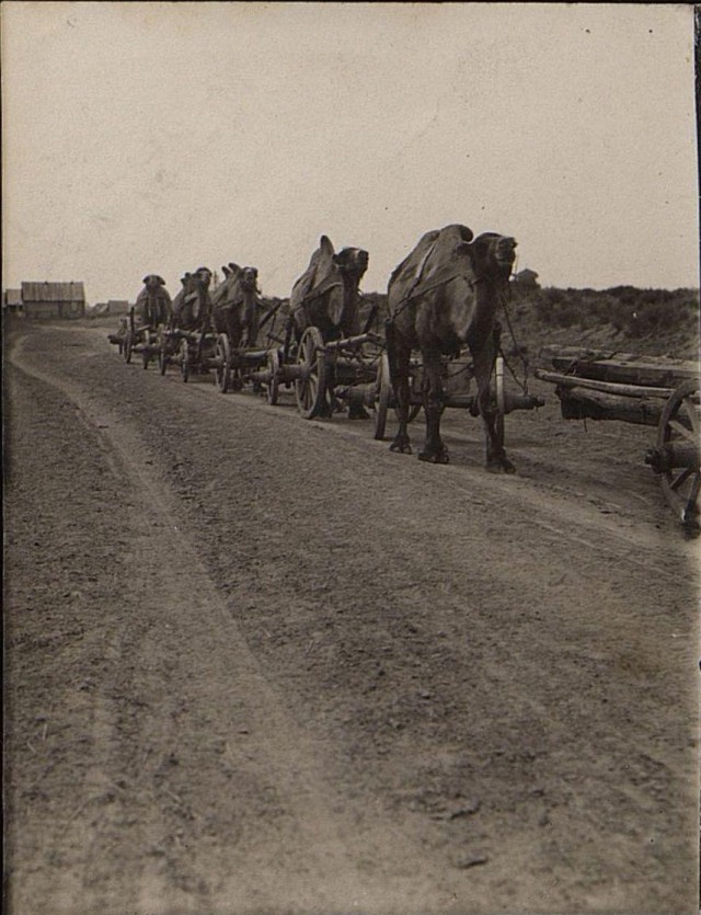 Снимки Захария Захариевича Виноградова. 1910-е. На Волге