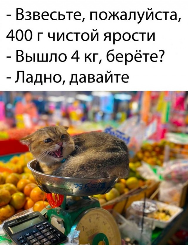 Нуштош 22.03.2023