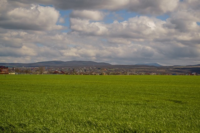 Крым-Новороссийск-Краснодар. Впечатления от Краснодарского края