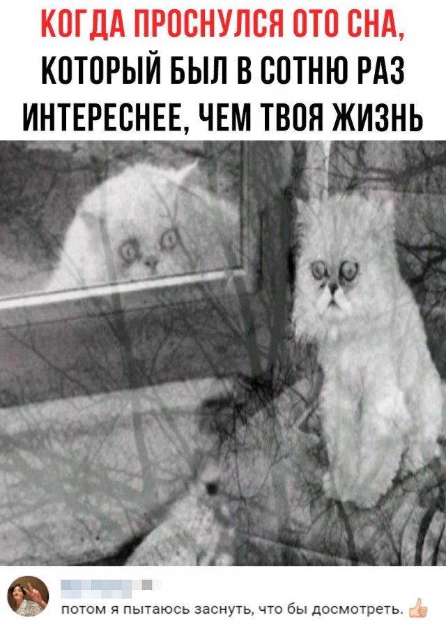 Картинки и мемы, всяко разно - 179