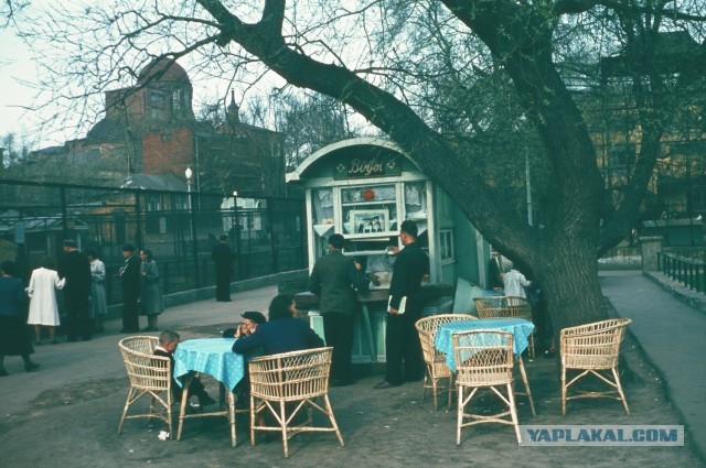 Москва 1953