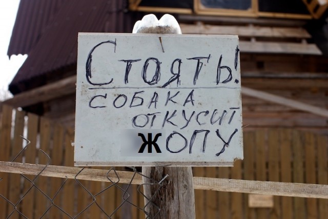 Так себе картинки 13.07.23