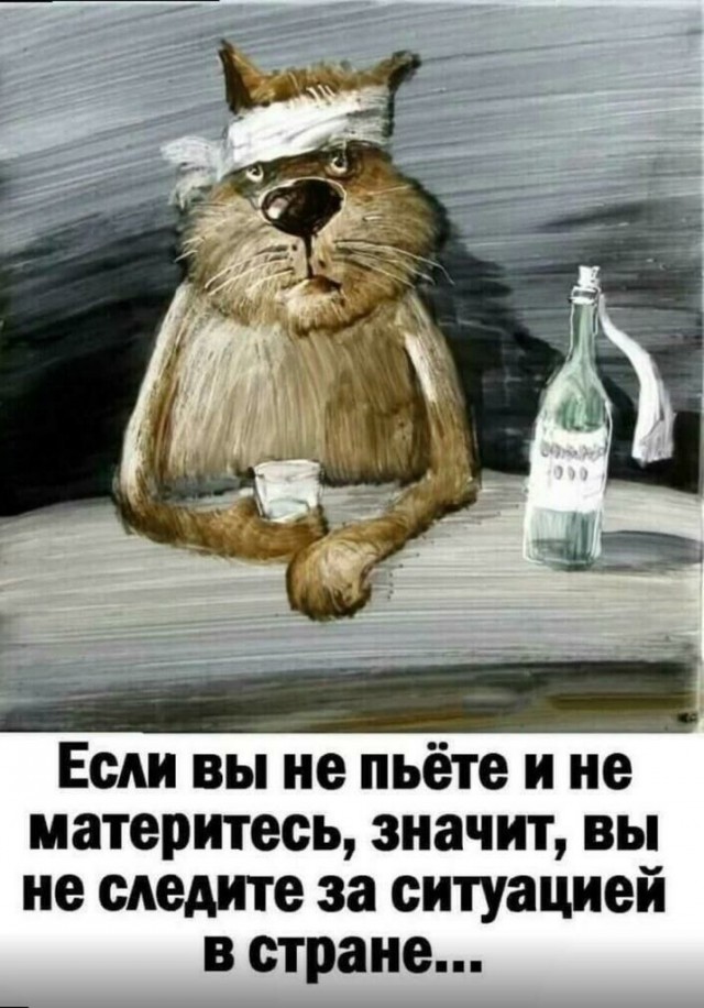 Зачем покупать дорогой стабилизатор для камеры, когда можно просто взять курицу