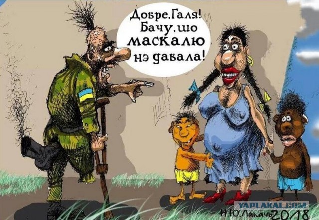 У одной семьи из Кейптауна большая радость – родились близнецы. Правда, они черные, что стало поводом для многочисленных шуток