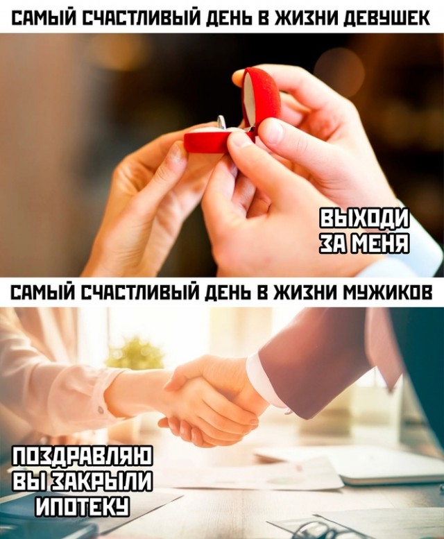 Весёлый полтишок 08.09.23