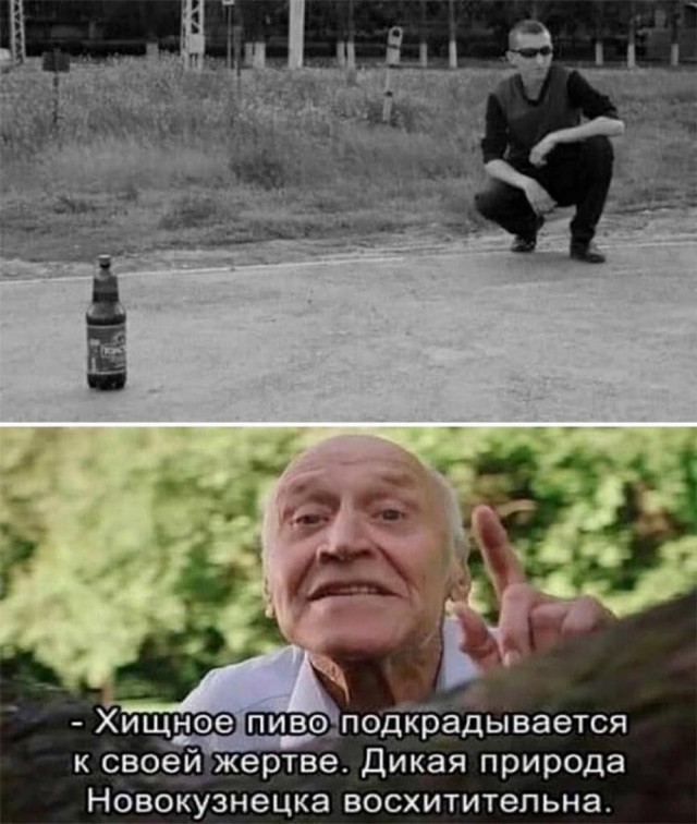 Забавные комментарии из социальных сетей (18.09.23)