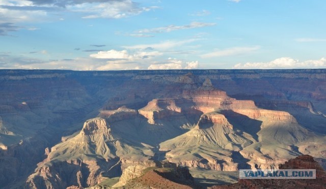 Ford Mustang напрокат