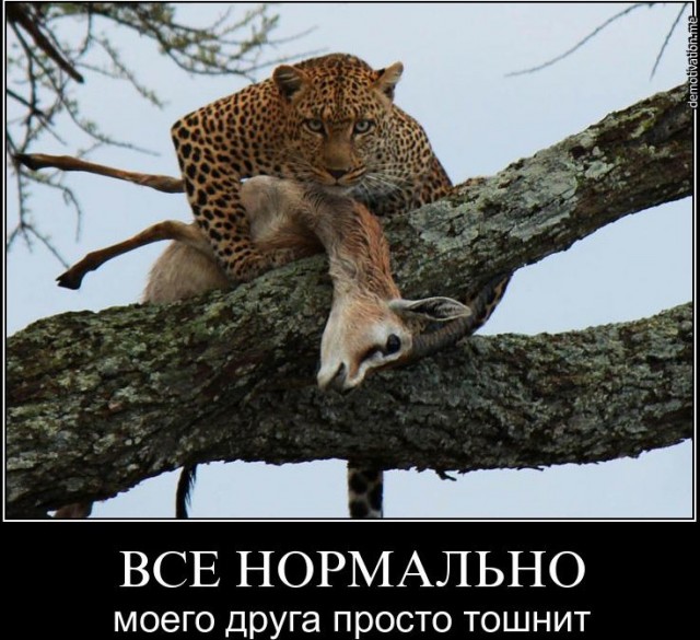 Древнейшие баяны