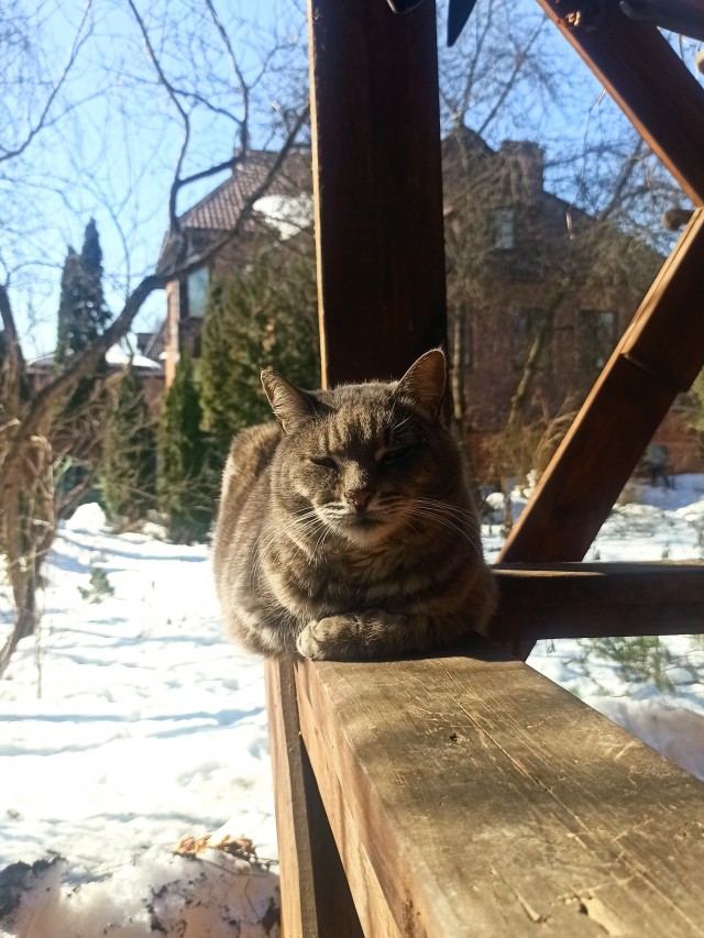 Пробило чё-т...